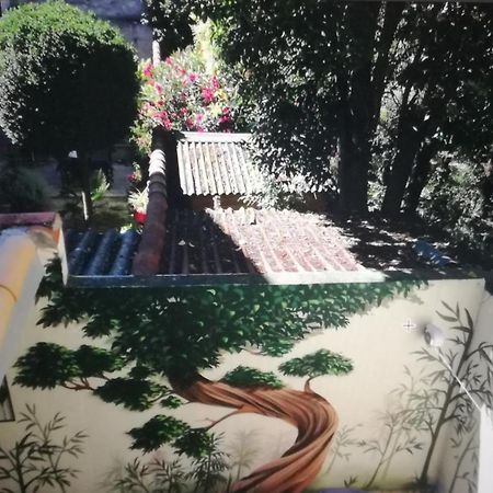 Suite Oisivete Avec Terrasse Vue Sur Patio Et Clim Μονπελιέ Εξωτερικό φωτογραφία